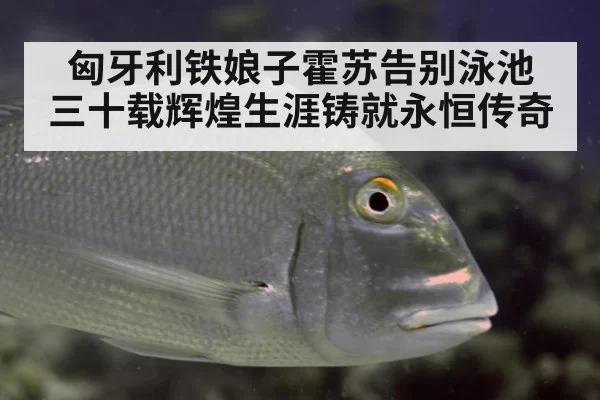 匈牙利铁娘子霍苏告别泳池 三十载辉煌生涯铸就永恒传奇